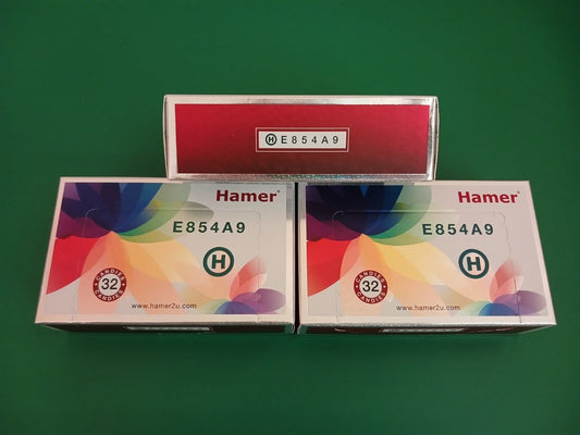 HAMER RAINBOW (E854A9)